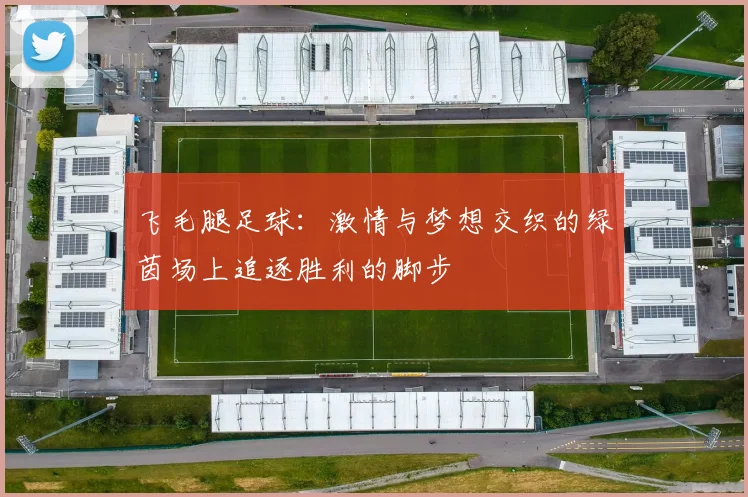 飞毛腿足球：激情与梦想交织的绿茵场上追逐胜利的脚步