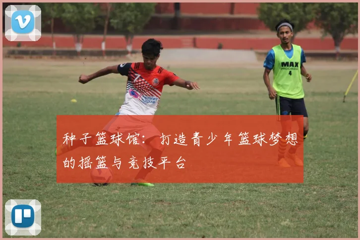 种子篮球馆：打造青少年篮球梦想的摇篮与竞技平台