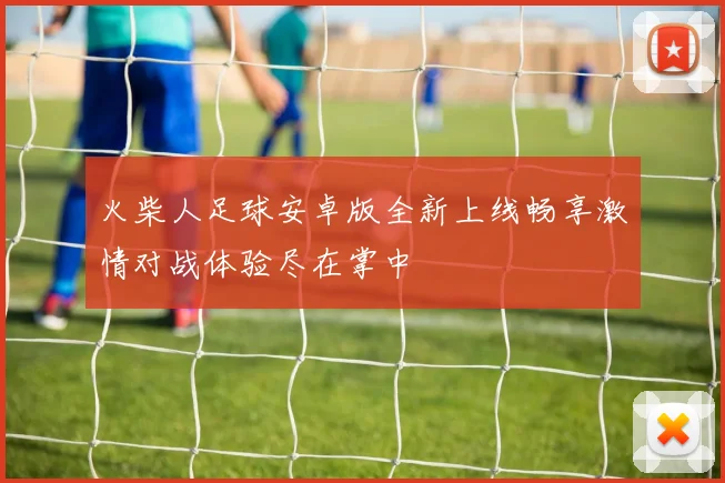 火柴人足球安卓版全新上线畅享激情对战体验尽在掌中