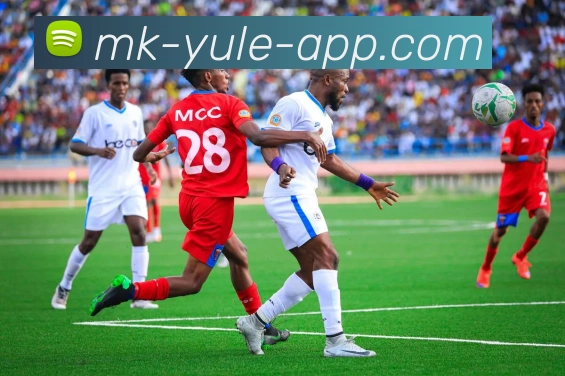 官方下载服务页服务体系